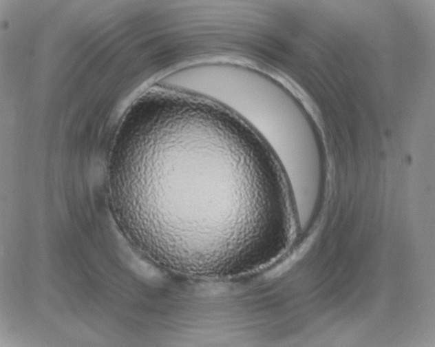 X0000083070993200702232042