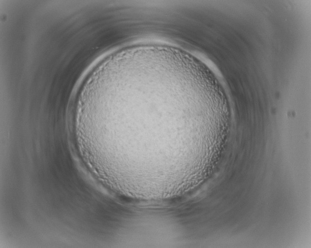 X0000083071008200702232042