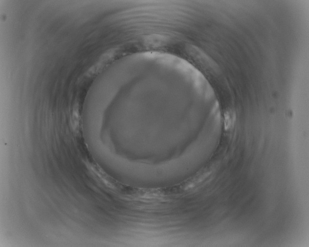X0000083071011200702232041
