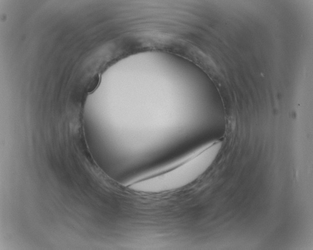 X0000083071012200702232041