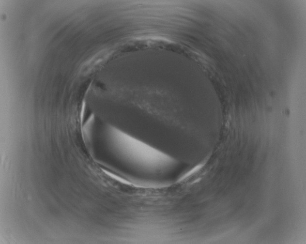 X0000083071014200702232041