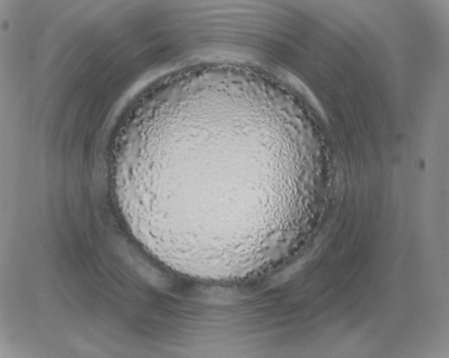 X0000083071027200702232041
