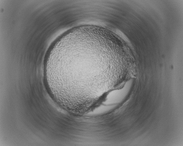 X0000083071028200702232041