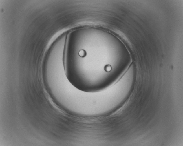 X0000083071030200702232041