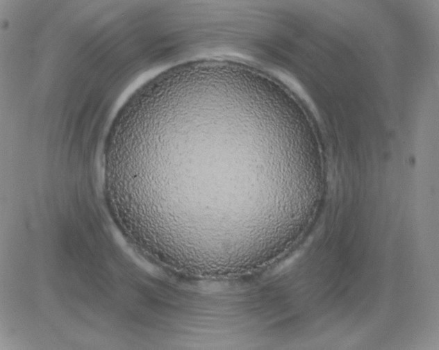 X0000083071032200702232041
