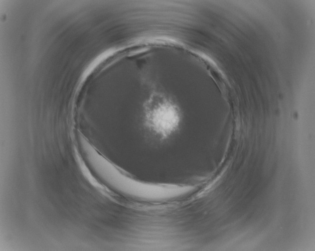 X0000083071038200702232042