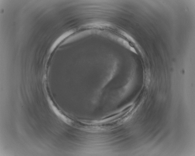 X0000083071042200702232042