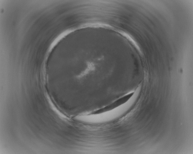 X0000083071046200702232042
