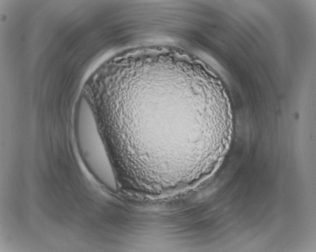 X0000083071047200702232042