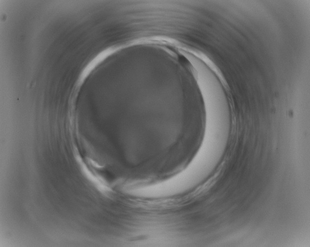 X0000083071054200702232042