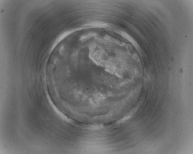 X0000083071055200702232042