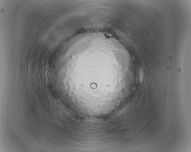 X0000083071059200702232041