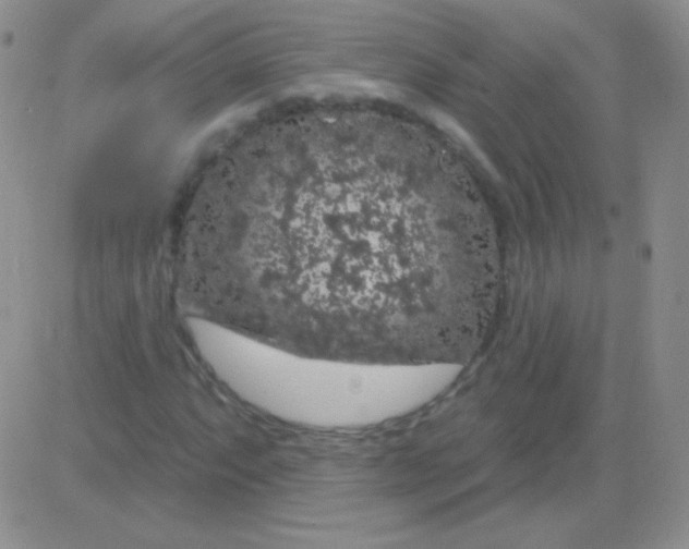 X0000083071063200702232041