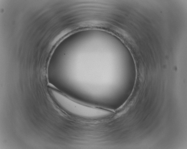 X0000083071073200702232041