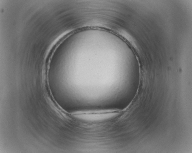 X0000083071076200702232041