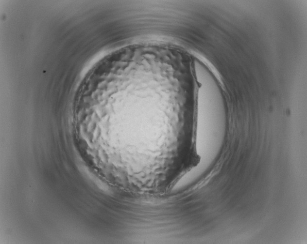 X0000083071083200702232041