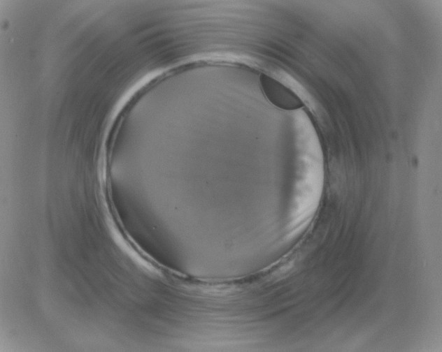 X0000083071084200702232041
