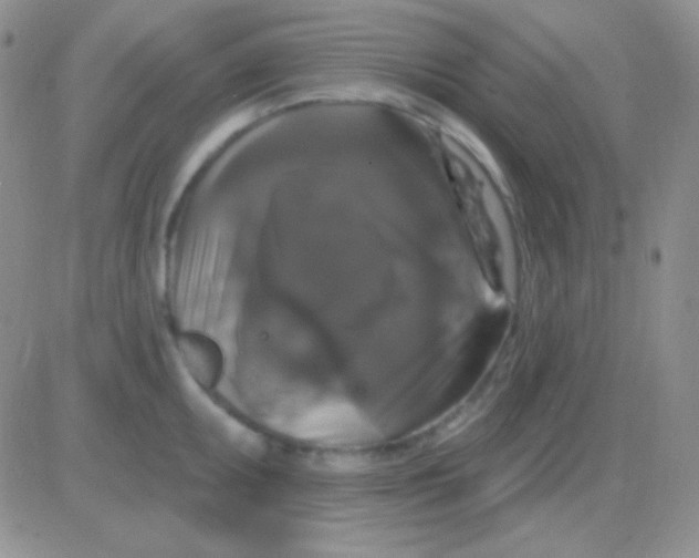 X0000083071095200702232040