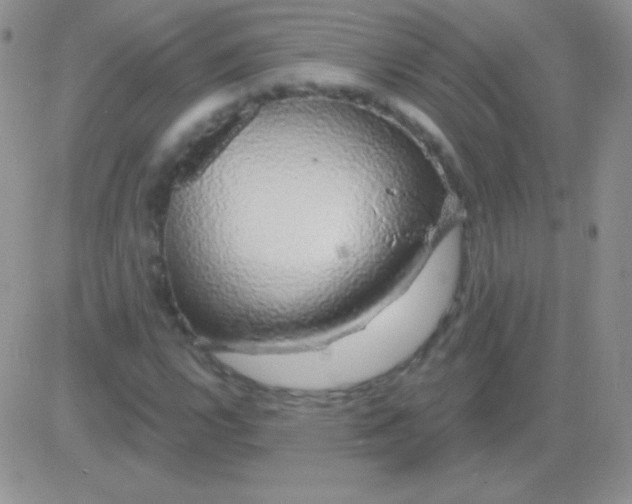 X0000083071112200702232040