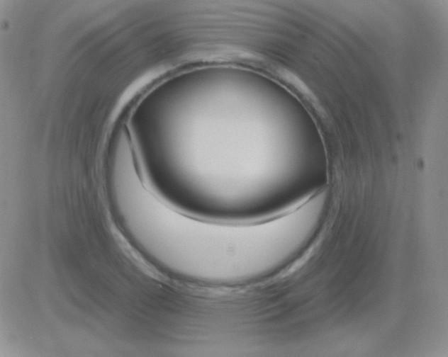 X0000083071122200702232040
