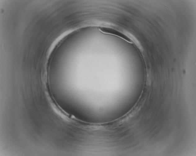 X0000083071136200702232040