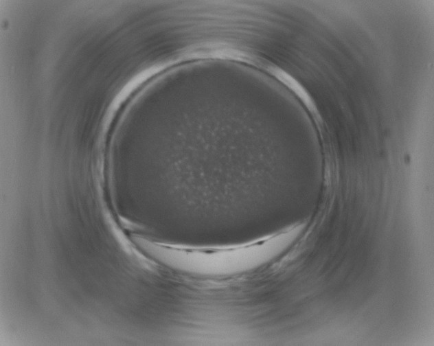 X0000083071144200702232040