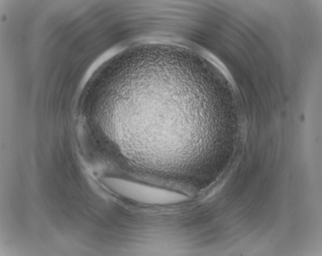 X0000083071146200702232040