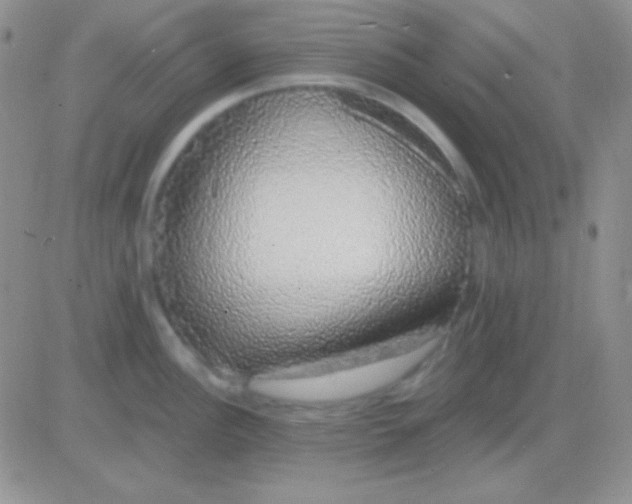 X0000083071148200702232040