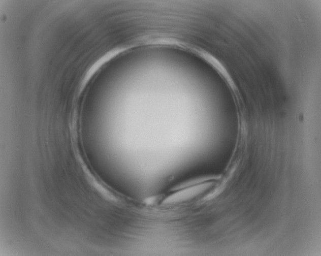 X0000083071149200702232040