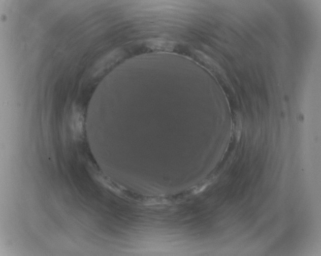 X0000083071154200702232039