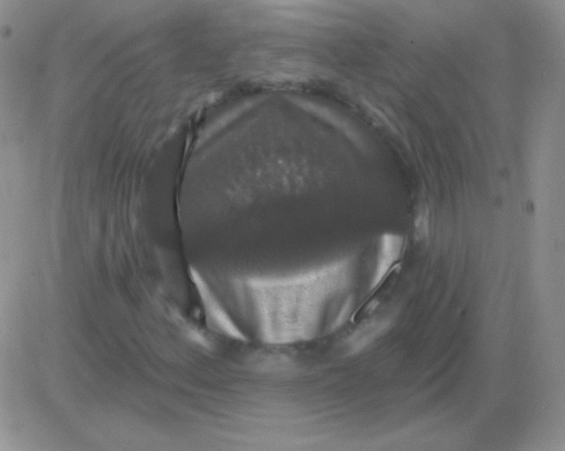 X0000083071156200702232039