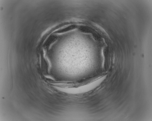 X0000083071160200702232039