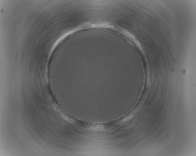 X0000083071174200702232039