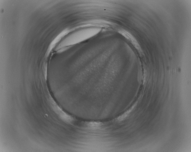 X0000083071180200702232039