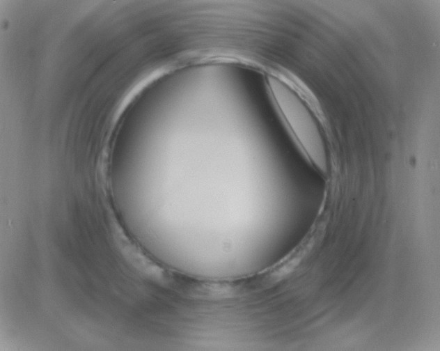 X0000083071190200702232039