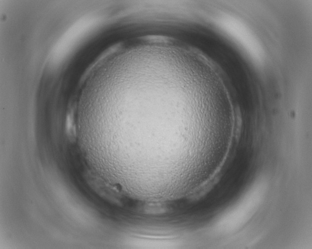 X0000083071198200702232039