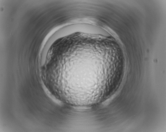 X0000083071200200702232039