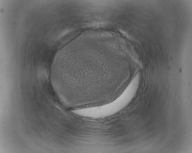 X0000083071206200702232038