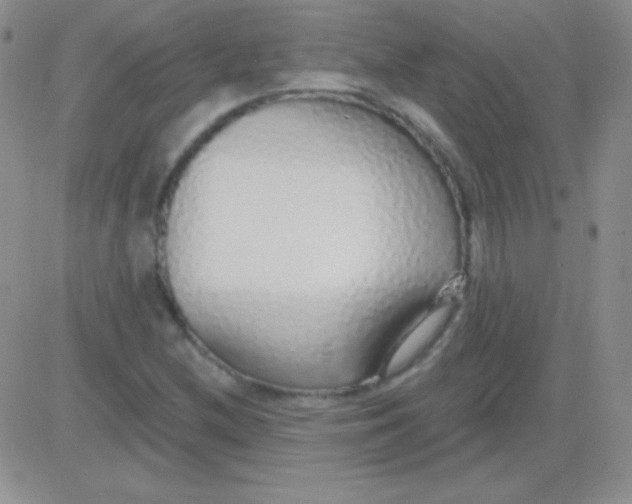 X0000083071212200702232038