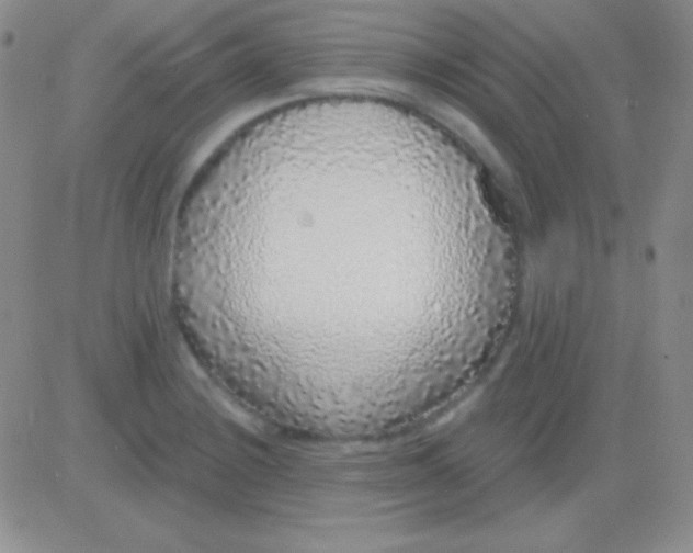 X0000083071228200702232038
