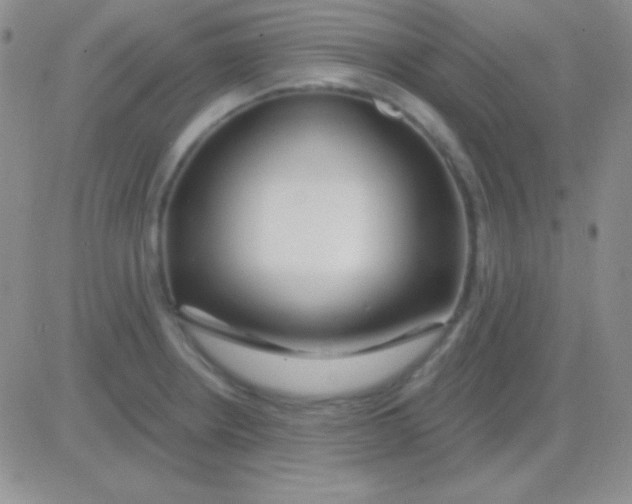 X0000083071234200702232038