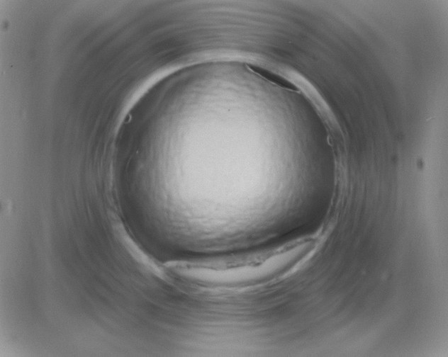 X0000083071244200702232039