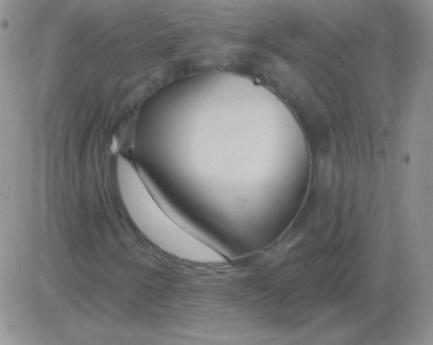 X0000083071250200702232038