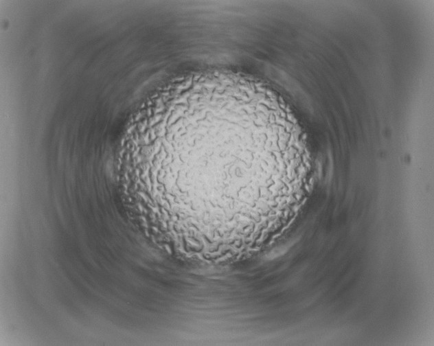 X0000083071251200702232038