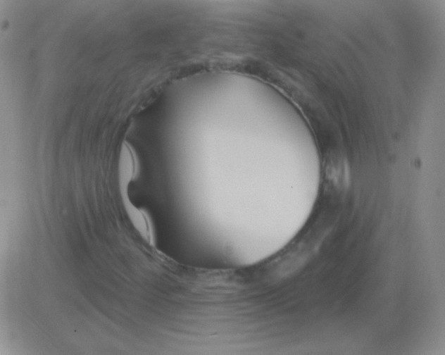 X0000083071252200702232038