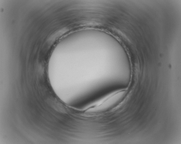 X0000083071257200702232038