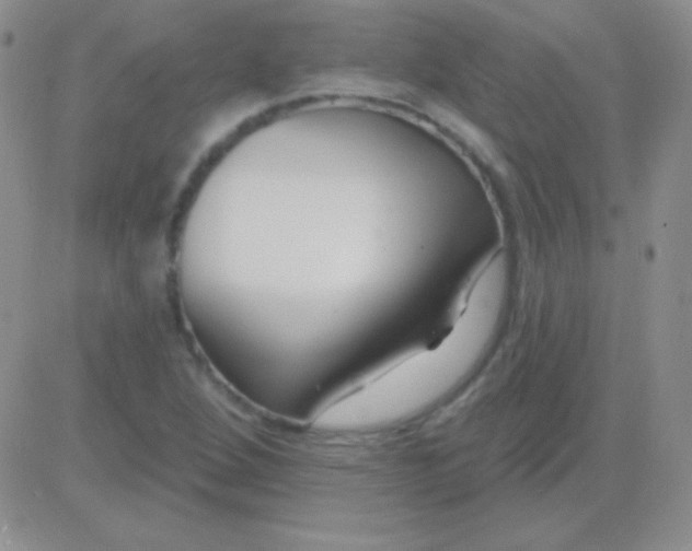 X0000083071264200702232038