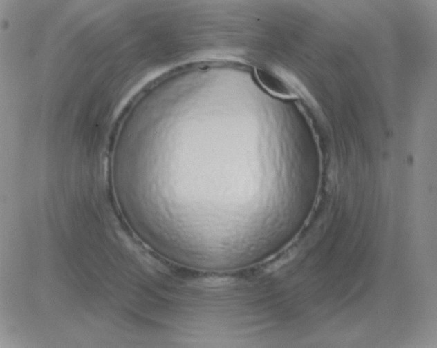 X0000083071268200702232037