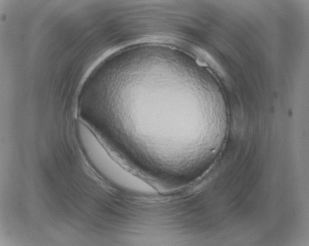X0000083071276200702232037