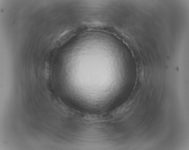 X0000083071301200702232036